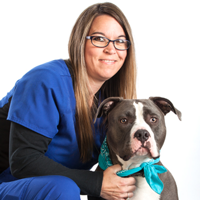 Staff of Dover Veterinary Hospital