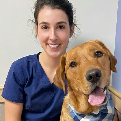 Staff of Dover Veterinary Hospital